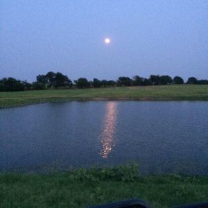 Meet your Posher, Deborah